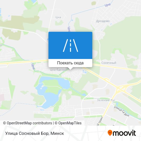 Карта Улица Сосновый Бор