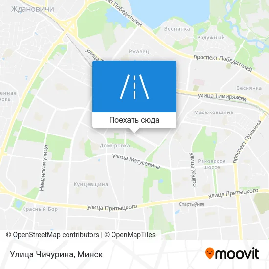 Карта Улица Чичурина