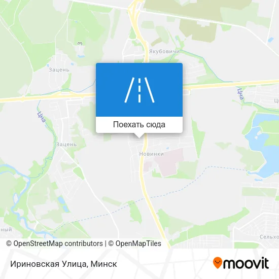 Карта Ириновская Улица