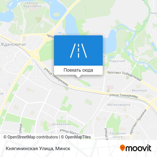 Карта Княгининская Улица