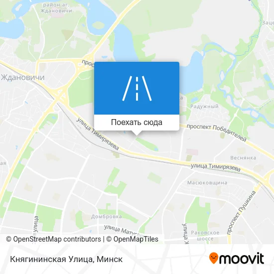 Карта Княгининская Улица
