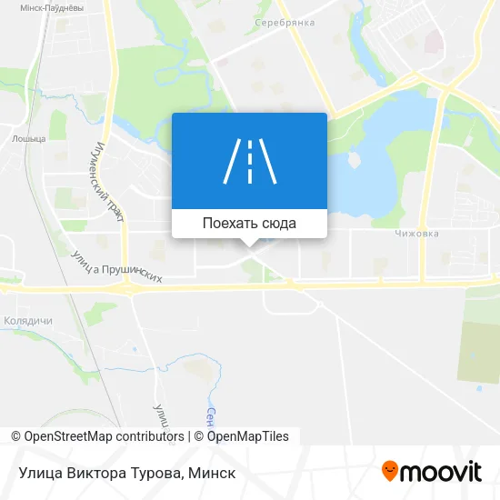 Карта Улица Виктора Турова