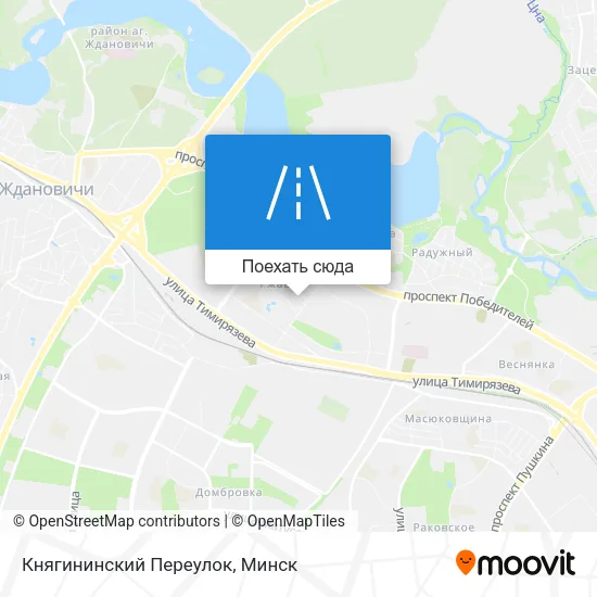 Карта Княгининский Переулок
