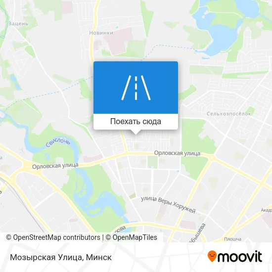 Карта Мозырская Улица