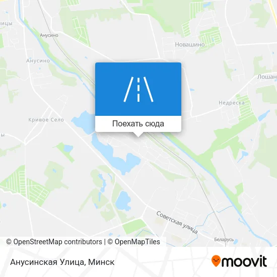 Карта Анусинская Улица