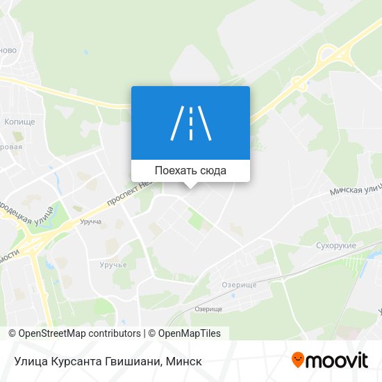 Карта Улица Курсанта Гвишиани