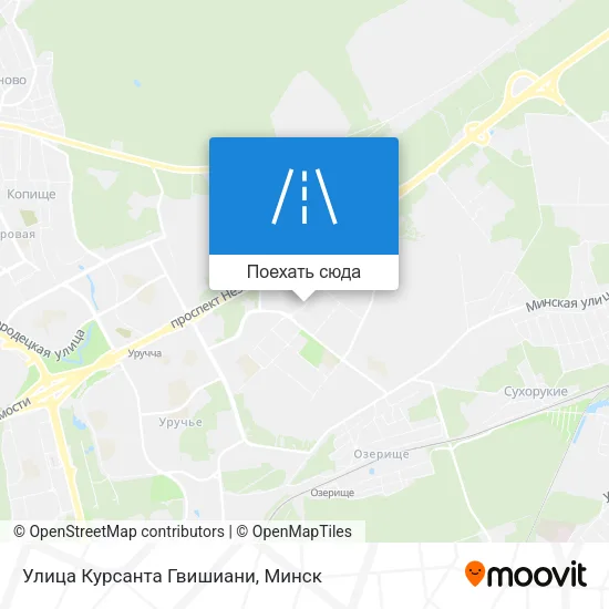 Карта Улица Курсанта Гвишиани