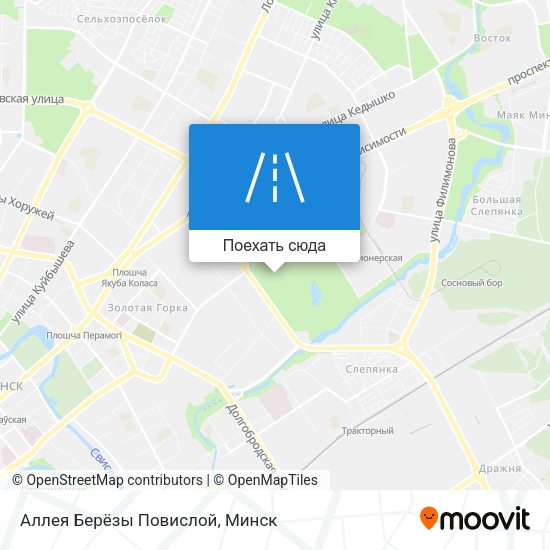 Карта Аллея Берёзы Повислой