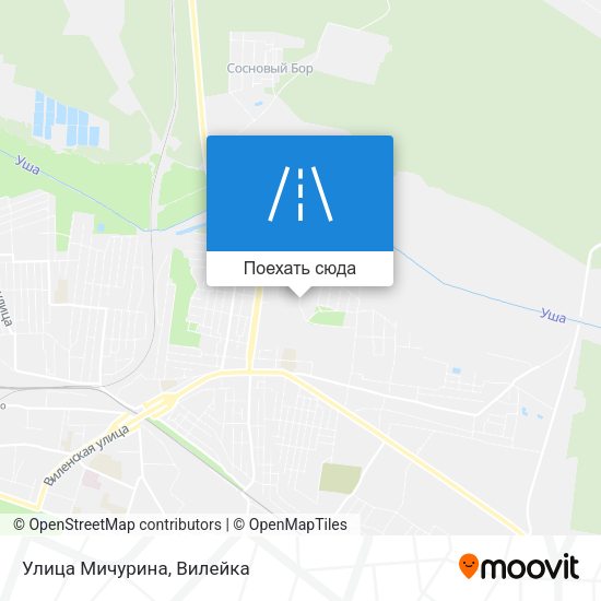 Карта Улица Мичурина