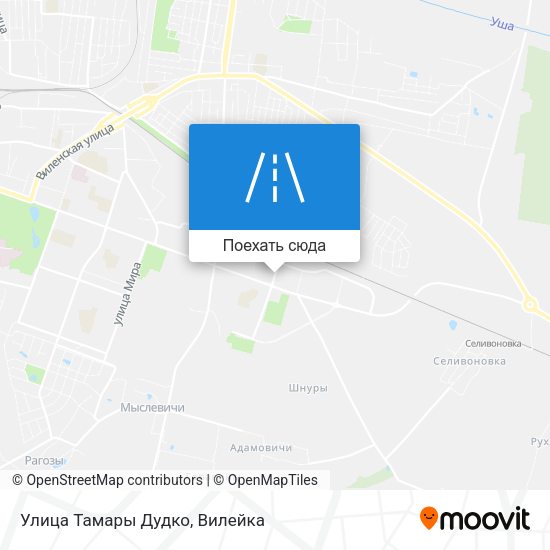 Карта Улица Тамары Дудко