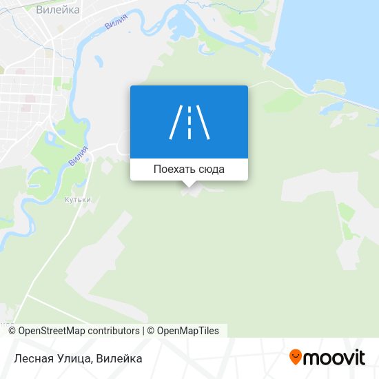 Карта Лесная Улица