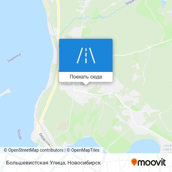 Карта Большевистская Улица