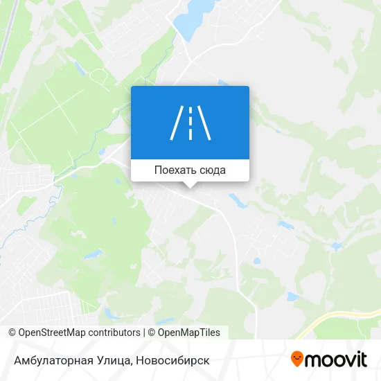 Карта Амбулаторная Улица