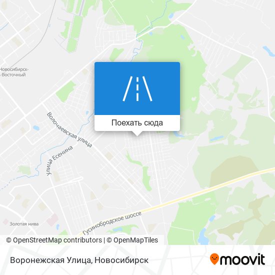 Карта Воронежская Улица