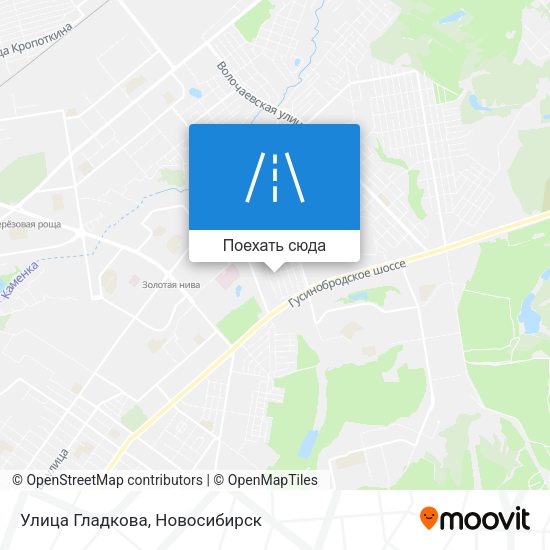 Карта Улица Гладкова
