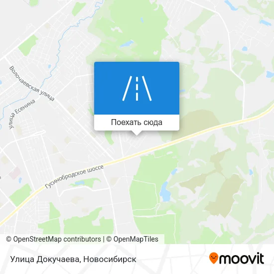 Карта Улица Докучаева