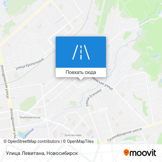 Карта Улица Левитана