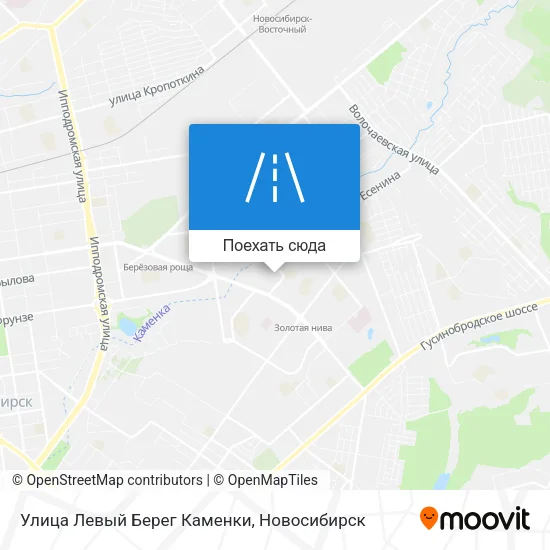 Карта Улица Левый Берег Каменки