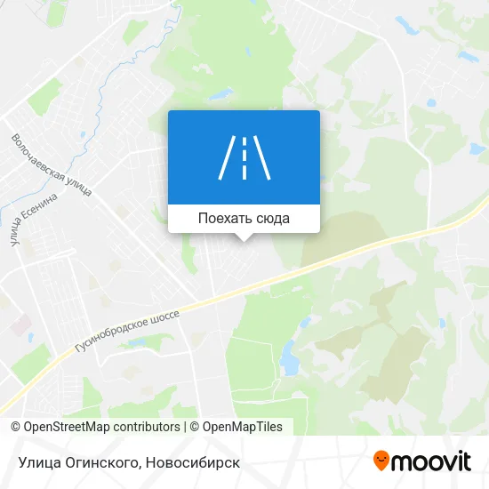 Карта Улица Огинского