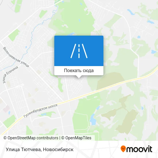 Карта Улица Тютчева