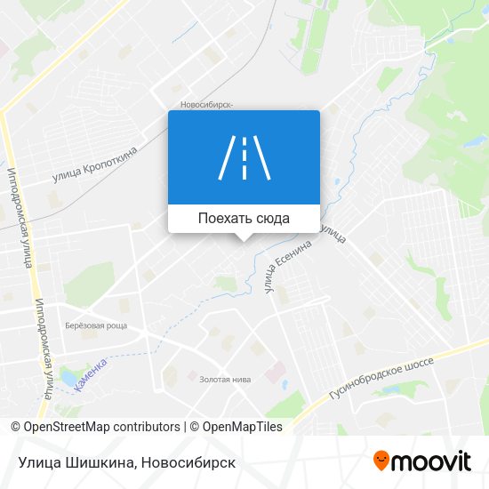 Карта Улица Шишкина