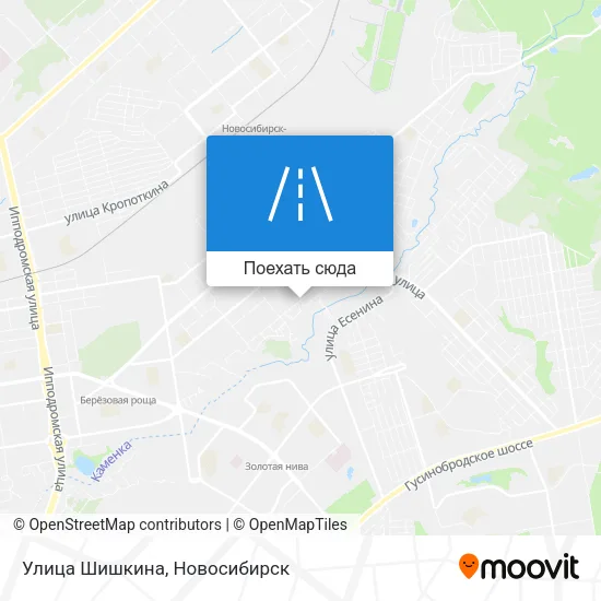 Карта Улица Шишкина
