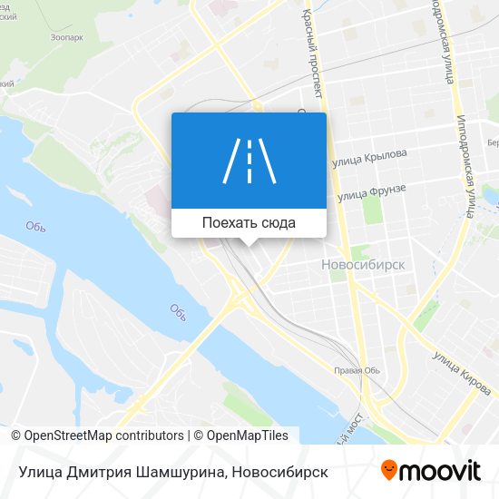 Карта Улица Дмитрия Шамшурина
