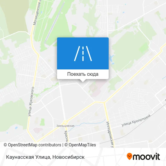 Карта Каунасская Улица