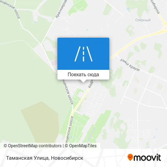 Карта Таманская Улица
