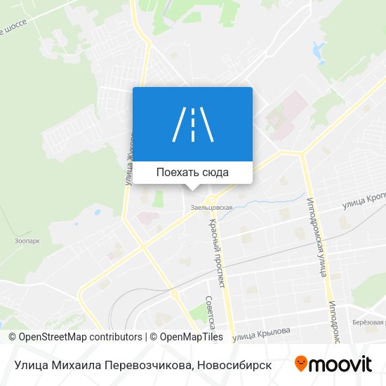 Карта Улица Михаила Перевозчикова