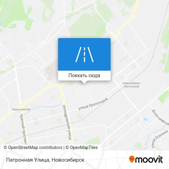 Карта Патронная Улица