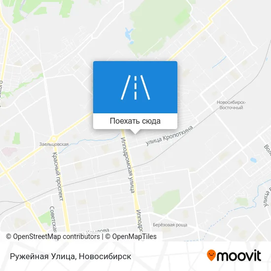 Карта Ружейная Улица