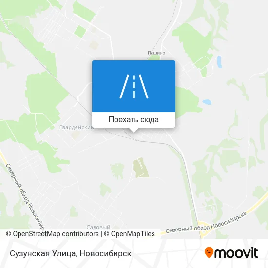 Карта Сузунская Улица
