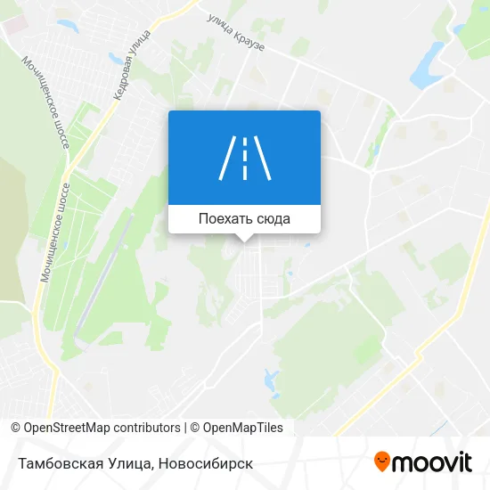 Карта Тамбовская Улица