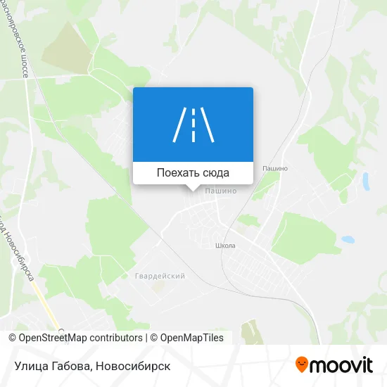 Карта Улица Габова