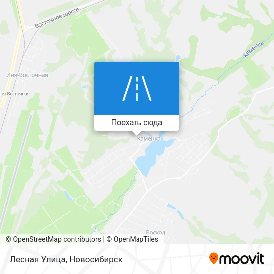 Карта Лесная Улица
