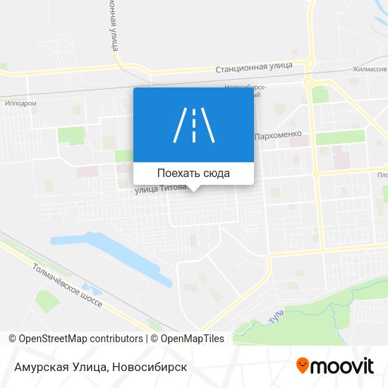 Карта Амурская Улица