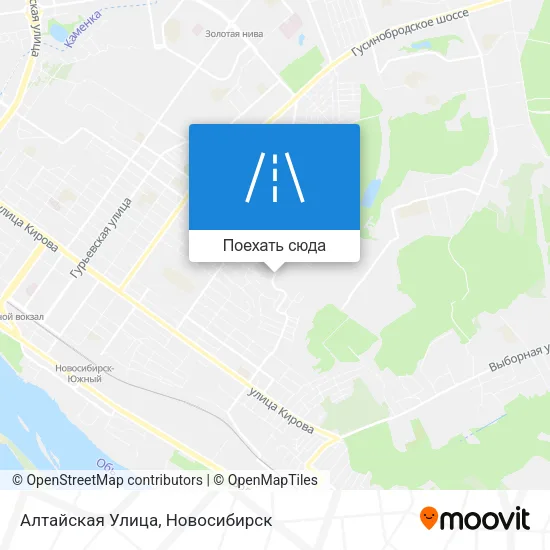 Карта Алтайская Улица