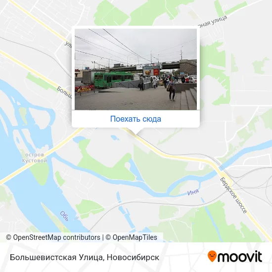 Карта Большевистская Улица
