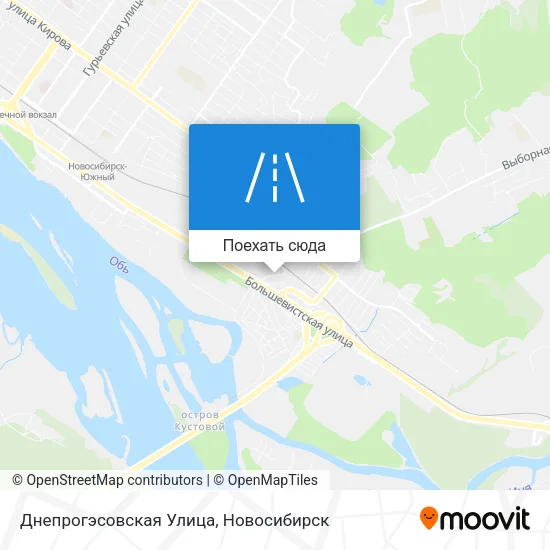 Карта Днепрогэсовская Улица