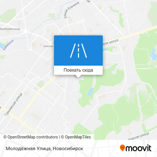 Карта Молодёжная Улица