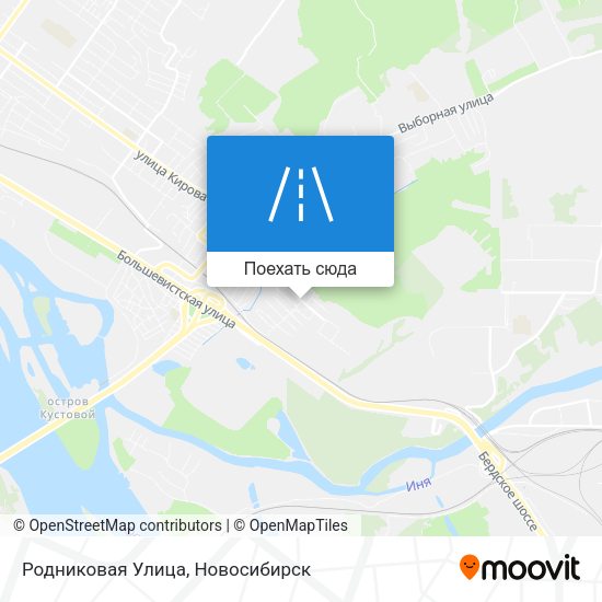 Карта Родниковая Улица