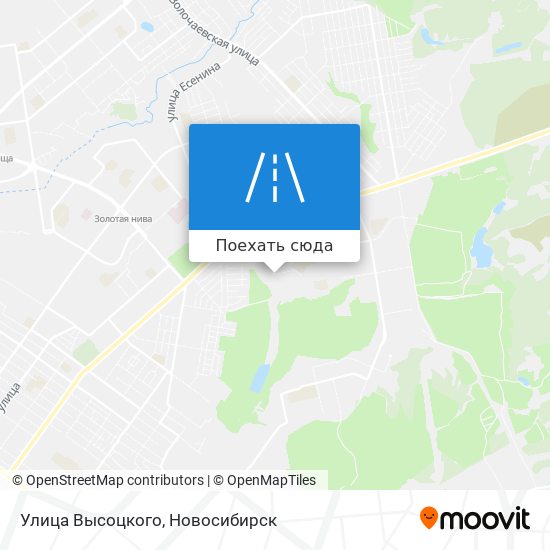 Карта Улица Высоцкого