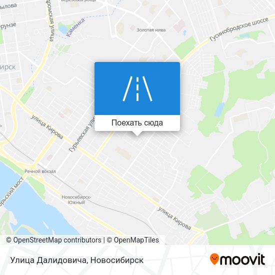 Карта Улица Далидовича