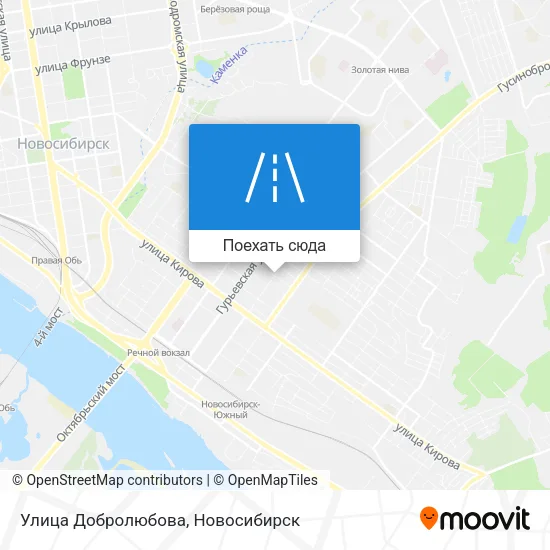 Карта Улица Добролюбова