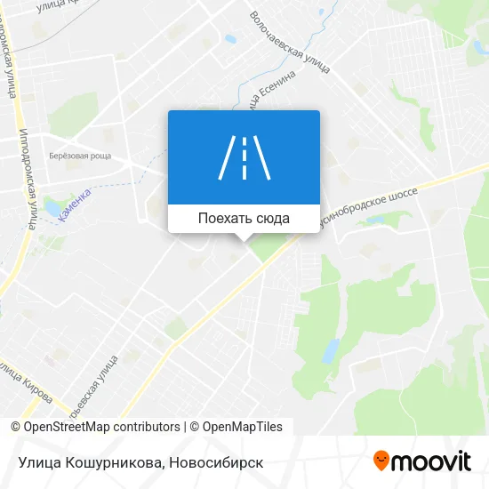 Карта Улица Кошурникова