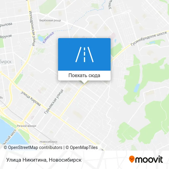 Карта Улица Никитина