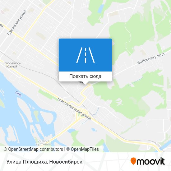 Карта Улица Плющиха