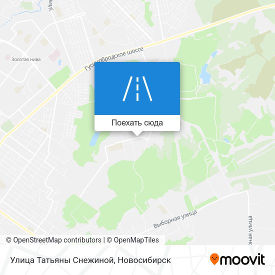Карта Улица Татьяны Снежиной