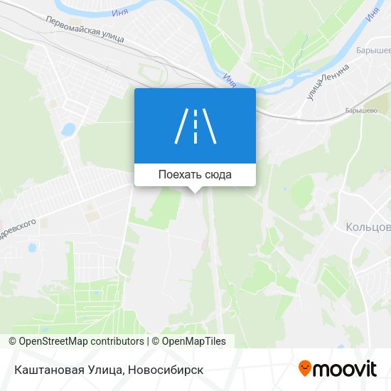 Карта Каштановая Улица